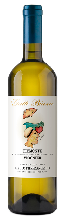 viognier gatto bianco