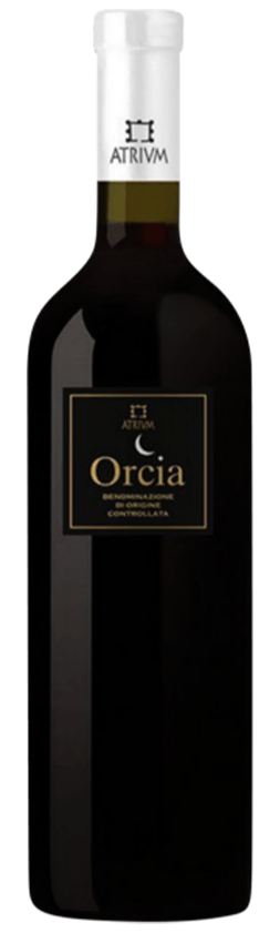 Orcia Doc SANGIOVESE 2023 vvi